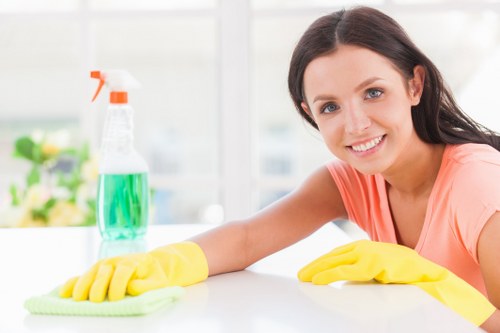 Carpet cleaning quote setup for a SE22 home