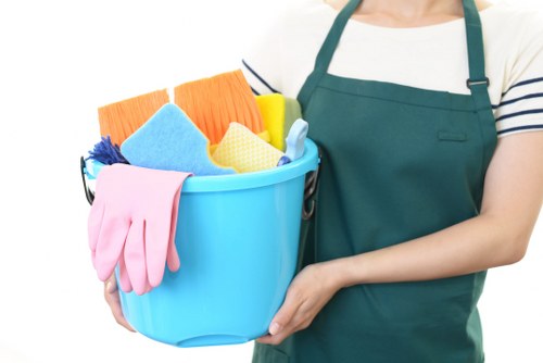 Professional oven cleaning service in SE22 for local homes