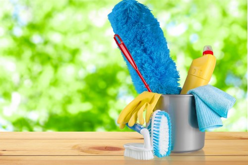 Professional upholstery cleaning for a sofa in an SE22 living room