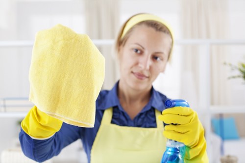Local home cleaning service for SE22 houses and flats