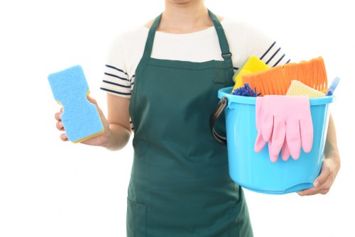 Deep cleaning visit for a flat near Lordship Lane