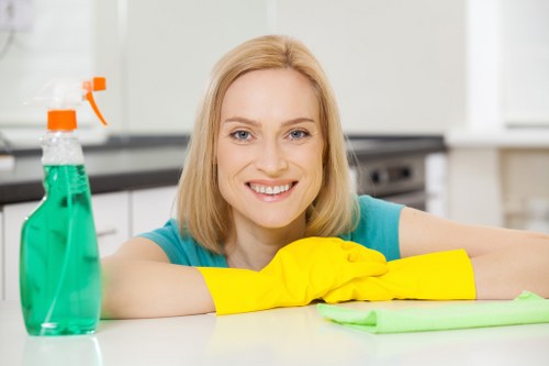 Regular household cleaning service for busy homes in SE22