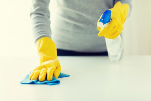 Oven cleaning appointment for a home near Dulwich and East Dulwich