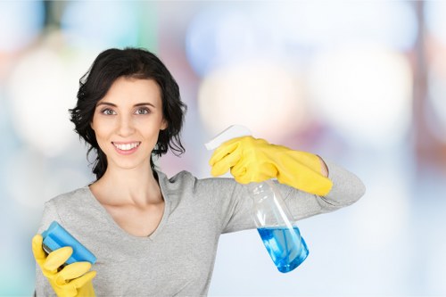 Window cleaner working on a period property in SE22