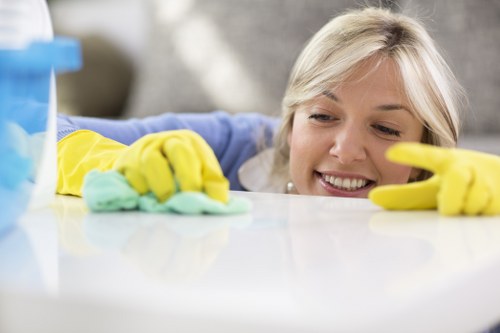 Professional carpet cleaning team working with a focus on safety