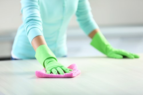 Deep cleaning tasks for an SE22 office kitchen and shared facilities