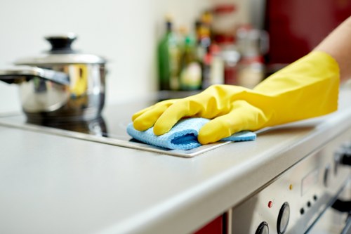 Regular home cleaning service for SE22 residents