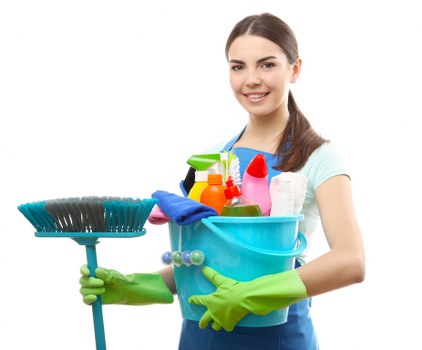 Reviewing a carpet cleaning complaint in detail