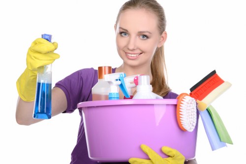 Deep carpet cleaning process in SE22 property
