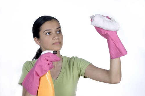 Small business and office cleaning in the SE22 area