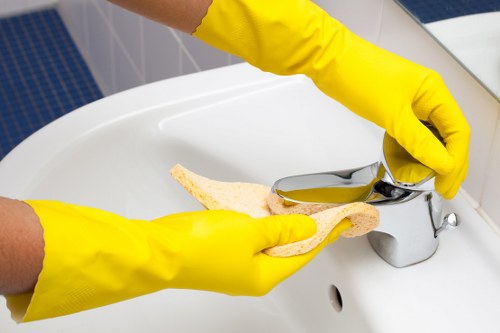 Professional cleaners working in SE22 apartments and houses